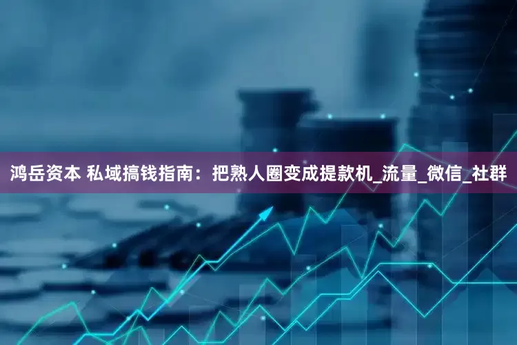 鸿岳资本 私域搞钱指南：把熟人圈变成提款机_流量_微信_社群