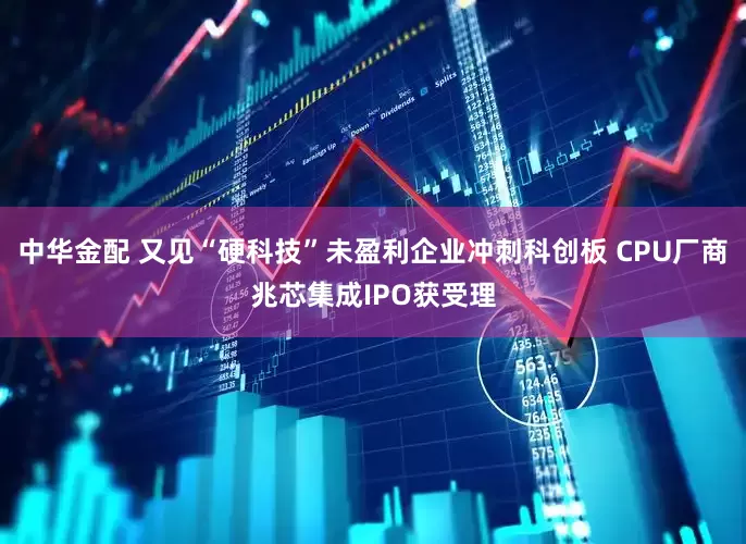 中华金配 又见“硬科技”未盈利企业冲刺科创板 CPU厂商兆芯集成IPO获受理