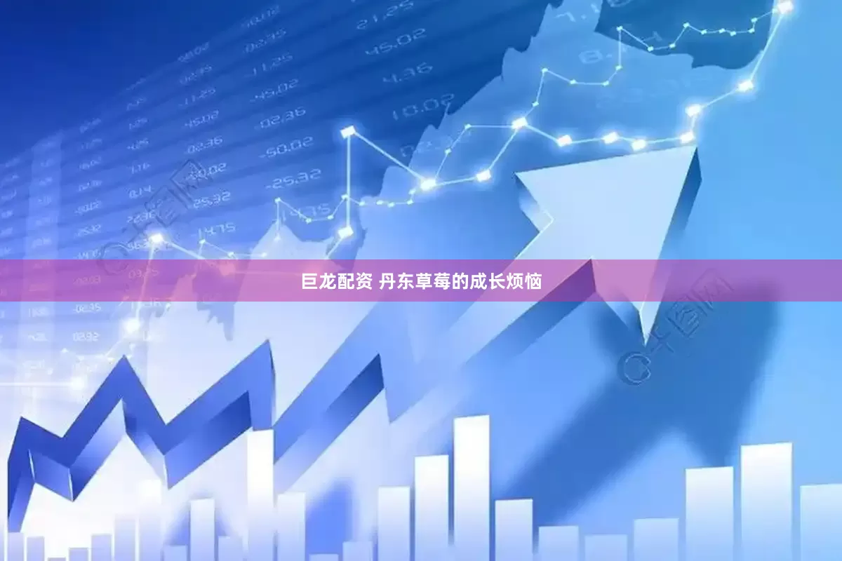 巨龙配资 丹东草莓的成长烦恼