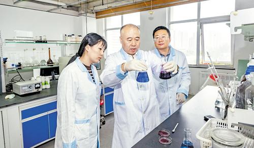 玖玖配资网 巩雪桦：用农林废料，修复“受伤”土壤