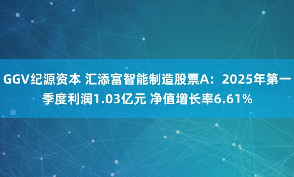 GGV纪源资本 汇添富智能制造股票A：2025年第一季度利润1.03亿元 净值增长率6.61%